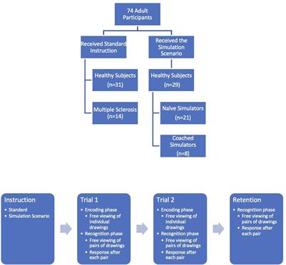 Using behavior and eye-fixations to detect feigned memory impairment